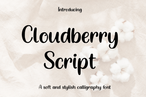 Cloudberry Script: A Premium Font Review & Guide